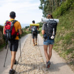 How ICICI Travel Insurance work